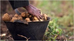 السودان يحظر استيراد السلع الزراعية والحيوانية من مصر السودان يحظر استيراد السلع الزراعية والحيوانية من مصر