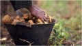 السودان يحظر استيراد السلع الزراعية والحيوانية من مصر السودان يحظر استيراد السلع الزراعية والحيوانية من مصر